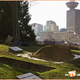Image for article titled Learn Who Dies In The Next Smallville!